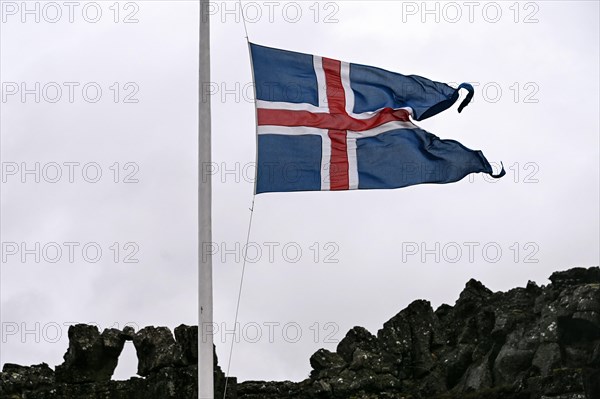 Icelandic flag in Thingvellir National Park