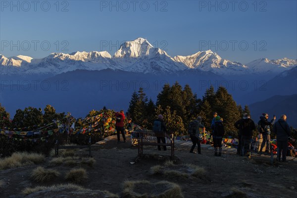 Dhaulagiri seen from Poon Hill