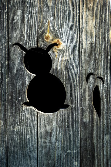 Silhouette of a rabbit and his carrot on a wooden door