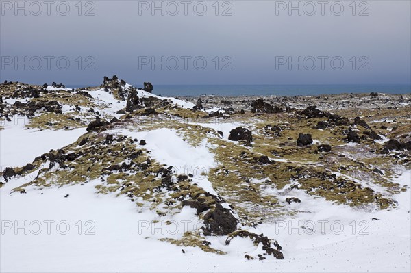Lava field covered in snow at the Snaefellsjoekull National Park in winter on the Snaefellsnes peninsula in Iceland