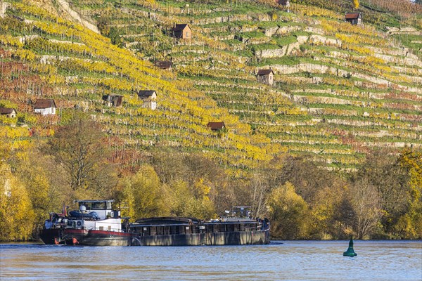 Barge MINERVA underway on the Neckar