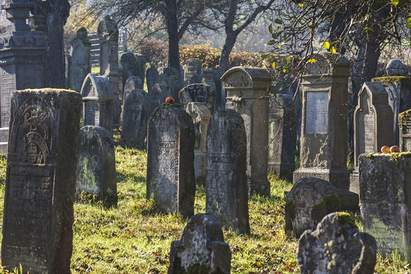 Historic Jewish cemetery