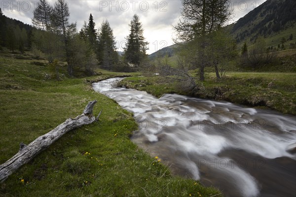 The Kremsbach in Schoenfeld