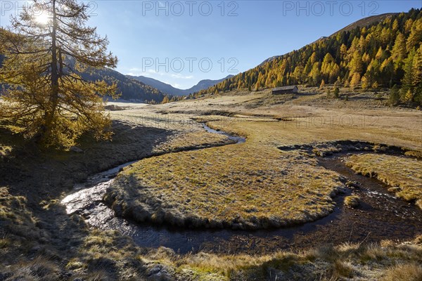 The Kremsbach in Schoenfeld