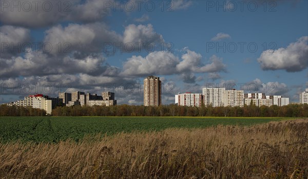 View over a field near Grossziethen towards Berlin