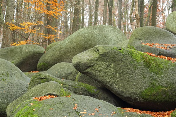 Rock formation in autumn forest