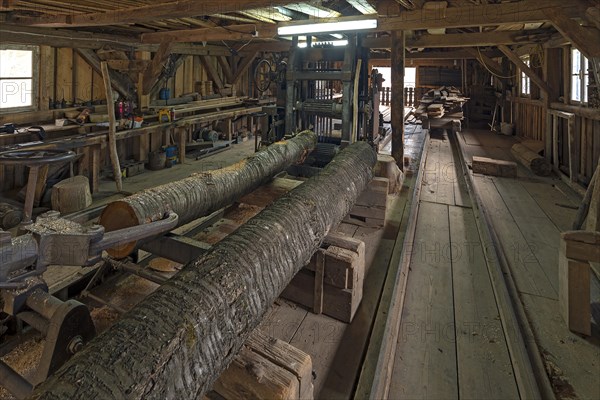 Gang saw in a historic sawmill built in 1870