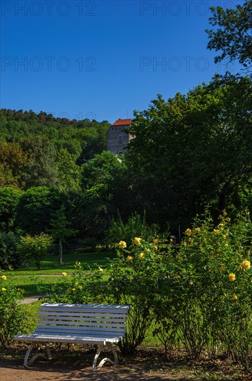 Impressions from the spa gardens of Bad Frankenhausen