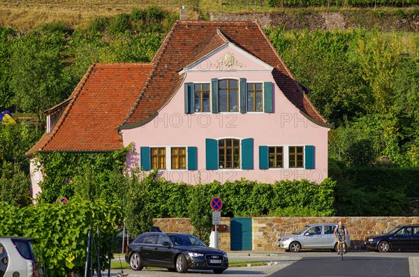 House Fliegenwedel with traffic situation