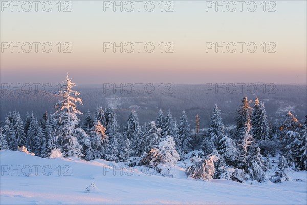 Winter landscape in the Black Forest