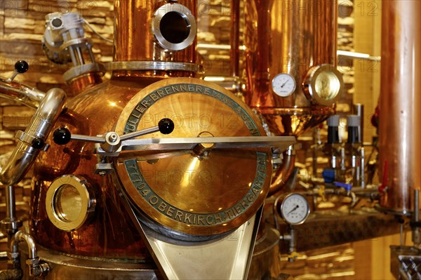 Modern still for distilling schnapps