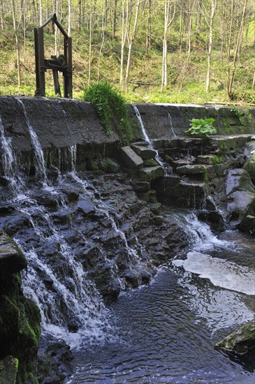 Weir on small stream creating little waterfall and offering ideal nesting place for European White-throated Dipper