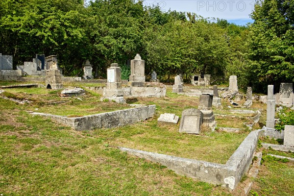 Overgrown and desolate burial ground at the dilapidated and abandoned cemetery in Horni Krupka