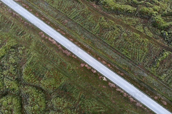 Ring Road 1 through moss-covered lava fields on the south coast of Iceland