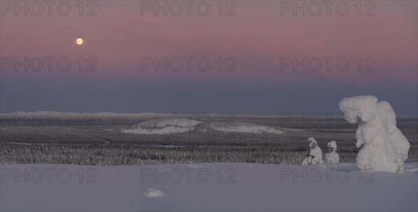 Full moon with day-night boundary and snow-covered trees over Pyhae-Luosto National Park