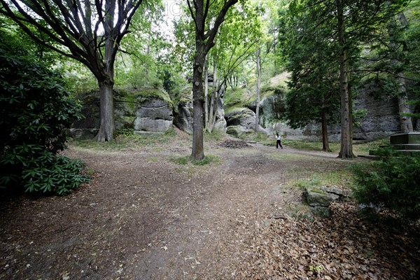 Landscape in the Zittau Mountains