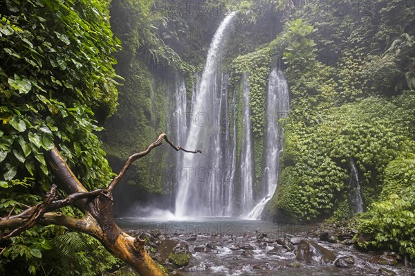 Air Terjun Tiu Kelep waterfall near Senaru in the tropical rainforest on the slopes of the Rinjani volcano