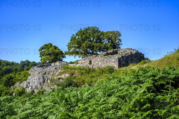 Ruin of Lilleborg