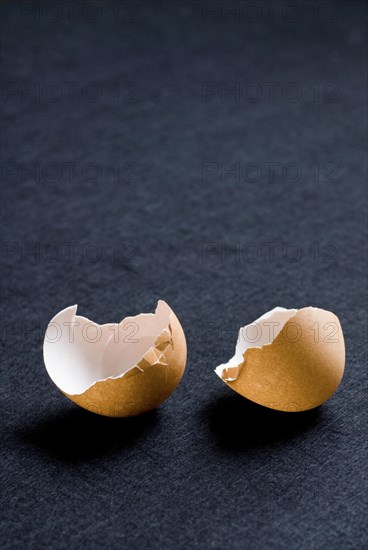 Eggshell on black background