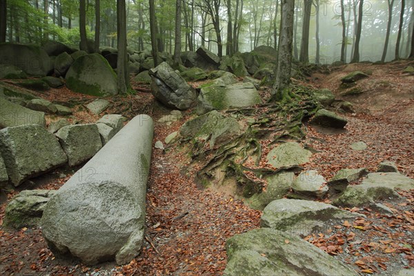 Stone landscape with giant Roman column in a sea of rocks