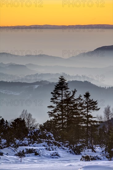 Winter landscape in the Black Forest