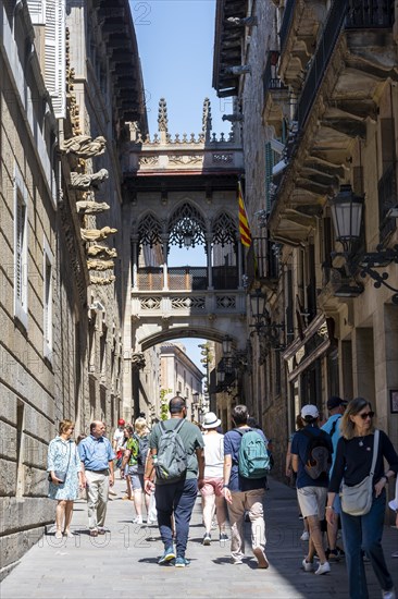 Artistic bridge between two buildings