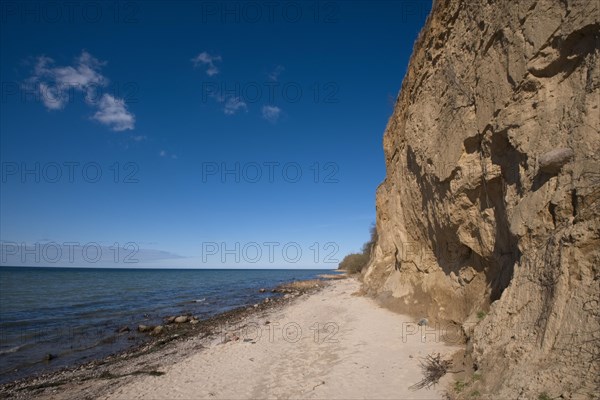 Break-off edge on the natural beach of the Baltic Sea in spring. Erosion on the cliff leads to washouts and erosions. Spruce Head