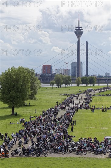 Motorbike meeting on the Duesseldorf Rhine meadows
