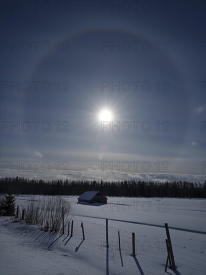 Sun halo in winter