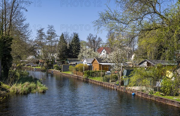 Allotment garden colony at Tegeler Hafen