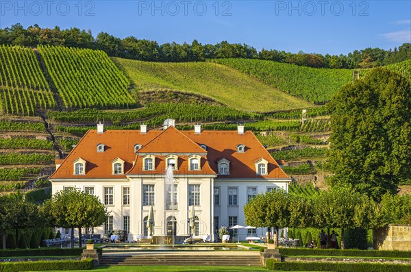 Listed baroque castle Wackerbarth in front of part of the also protected Historic Vineyard Landscape Radebeul