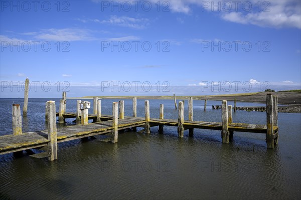 Old harbour at De Cocksdorp