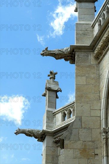 Nevers. Gargoyles of Cathedral Saint Cyr and Sainte-Julitte. Nievre department. Bourgogne Franche Comte. France