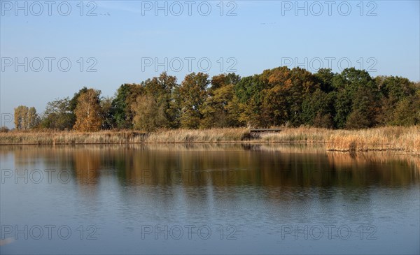 Autumn at a pond near Linum