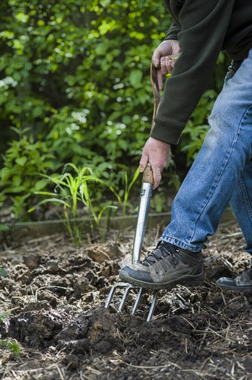 Senior man preparing a garden bed. Digging and turning over soil