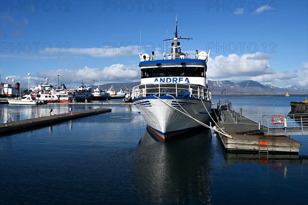 Boats in the old harbour of Reykjavik