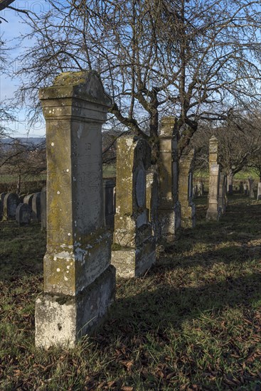 Historic Jewish cemetery