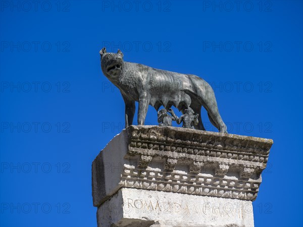 Roman column with bronze statue of the Capitoline she-wolf suckling Romulus and Remus