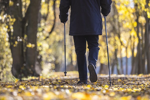 Old man with sticks taking a walk