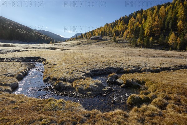 The Kremsbach in Schoenfeld