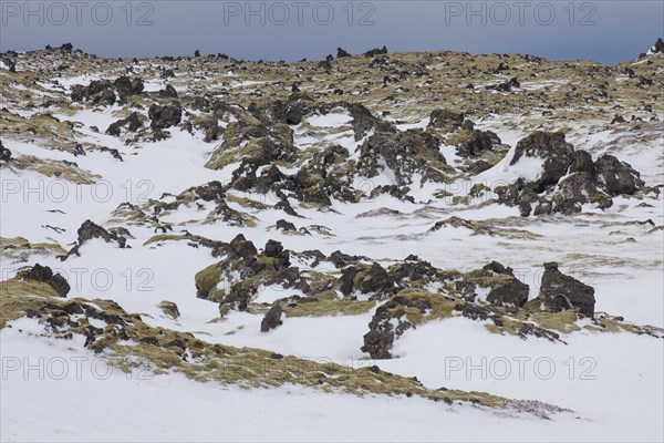 Lava field covered in snow at the Snaefellsjoekull National Park in winter on the Snaefellsnes peninsula in Iceland