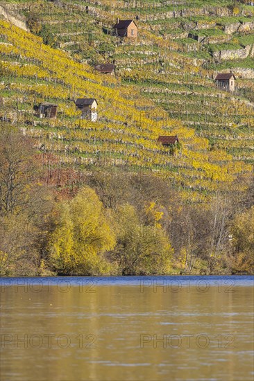 Vineyard cottage in the vineyards above the Neckar