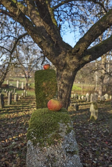 Historic Jewish cemetery