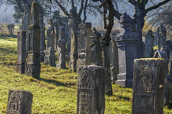 Historic Jewish cemetery