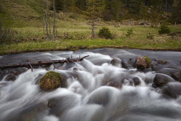 The Kremsbach in Schoenfeld