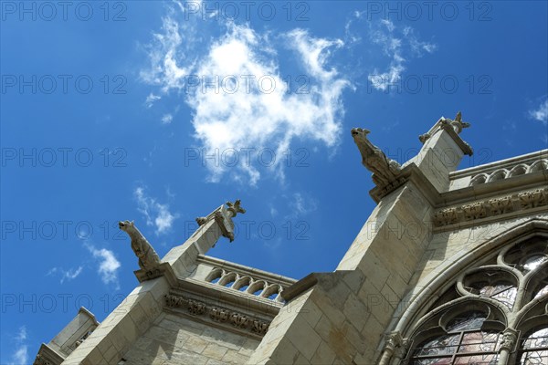 Nevers. Gargoyles of Cathedral Saint Cyr and Sainte-Julitte. Nievre department. Bourgogne Franche Comte. France