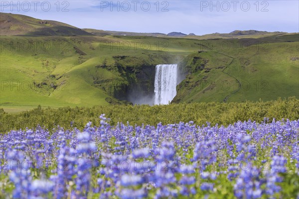 Skogafoss