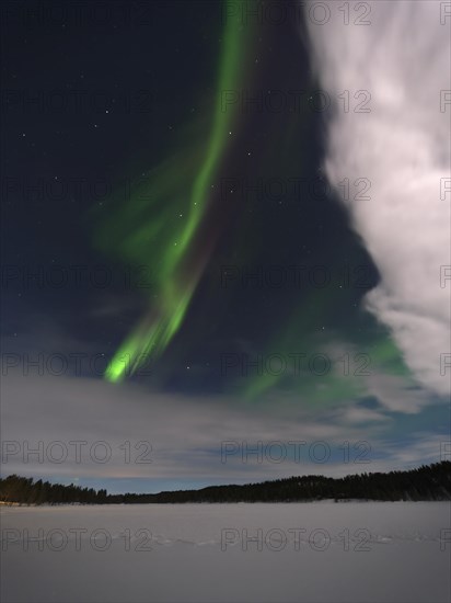 Northern Lights