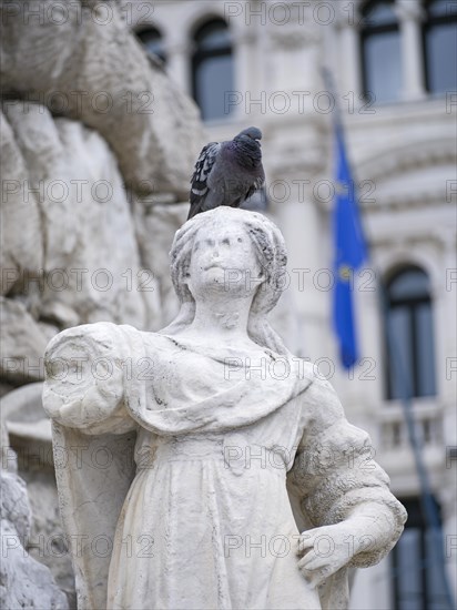 Dove on the head of a figure on the fountain in Piazza dell'Unita d'Italia