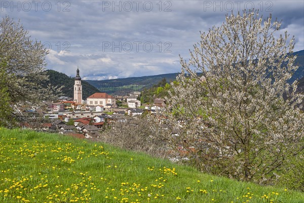 Castelrotto with blossoming trees
